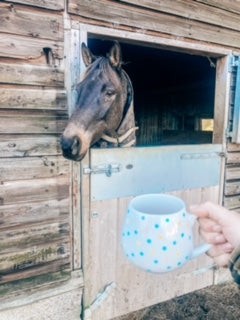 Spotty Mug